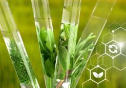 Agrochemical